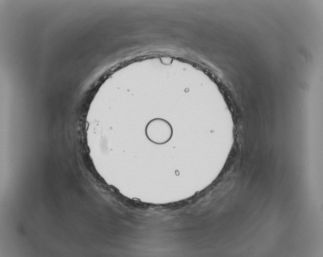 X0000112831496200910021212