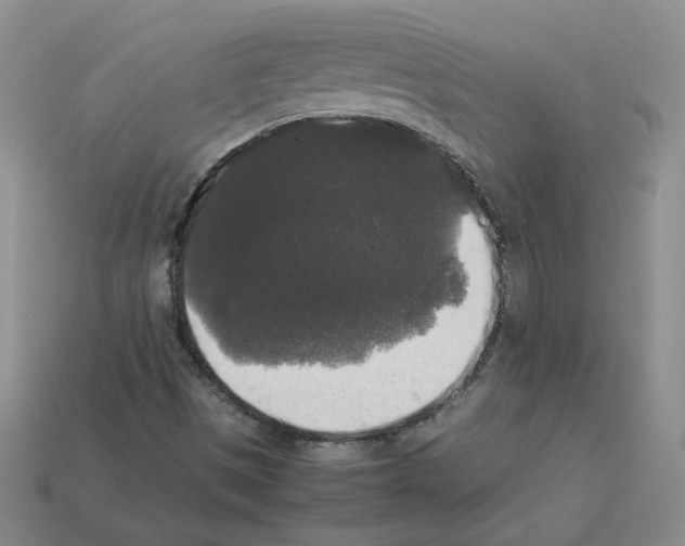 X0000112831497200910021212