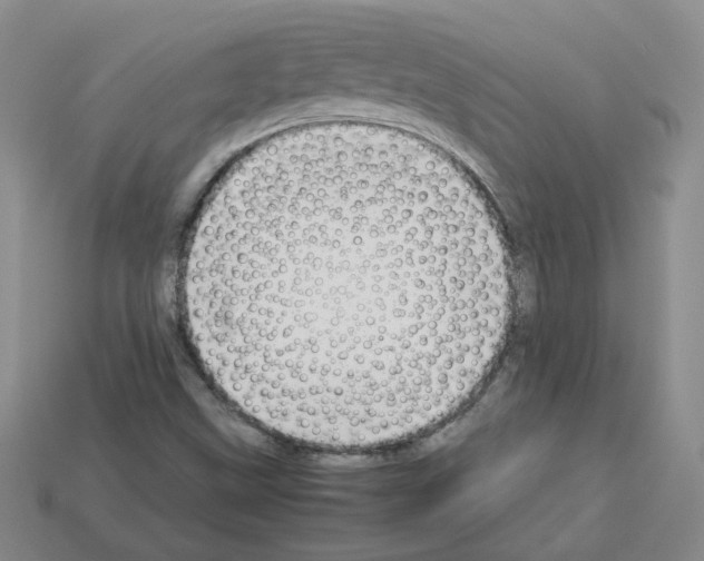 X0000112831499200910021212