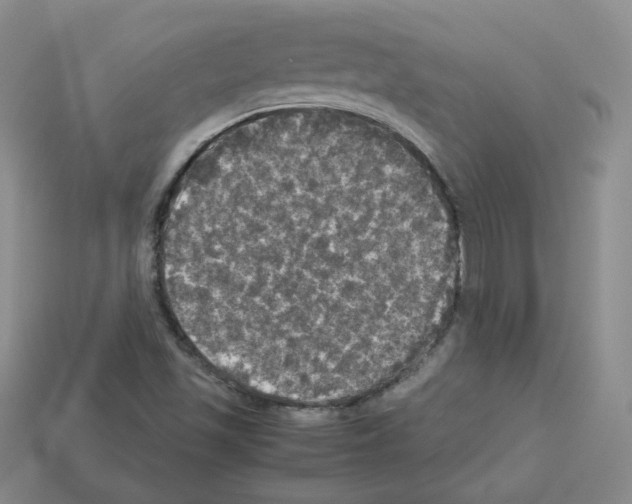 X0000112831501200910021212