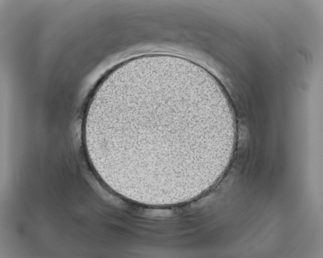 X0000112831503200910021212