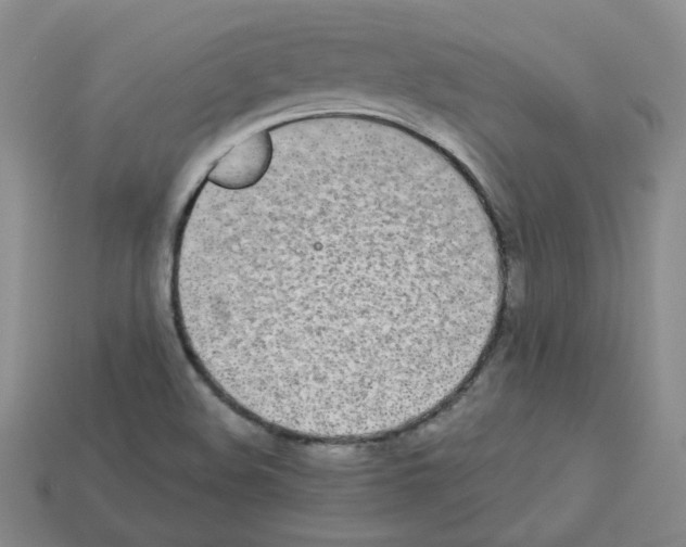 X0000112831508200910021212