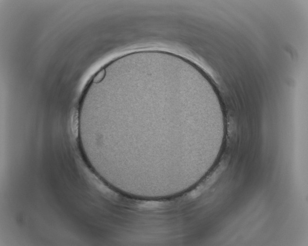 X0000112831510200910021212