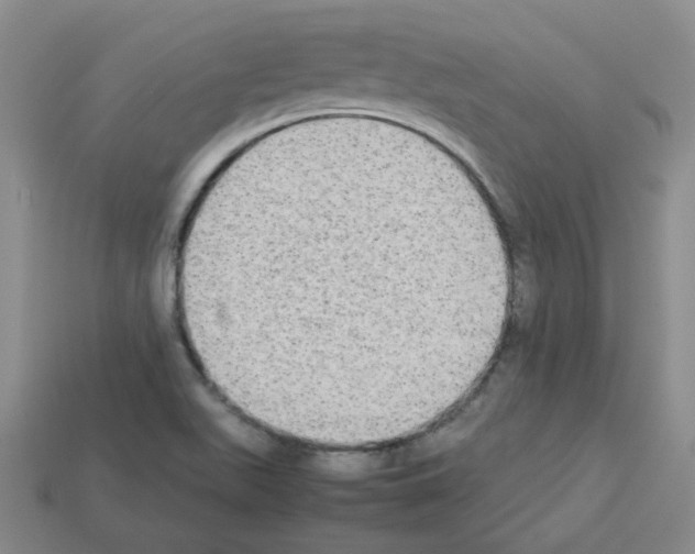 X0000112831511200910021212