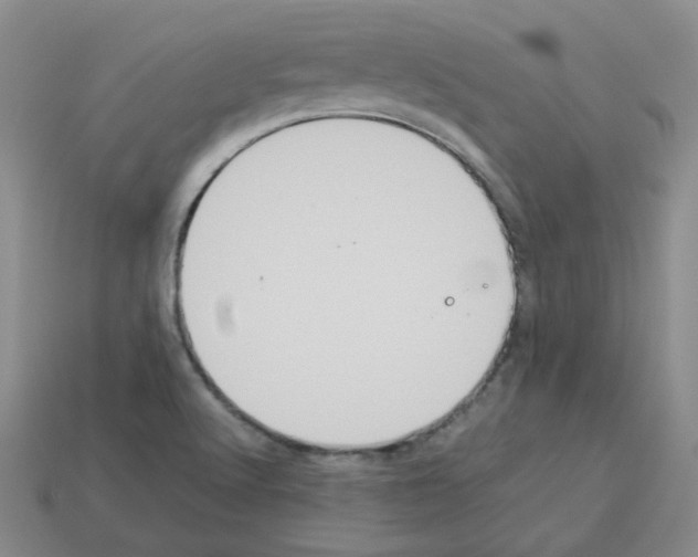 X0000112831512200910021212