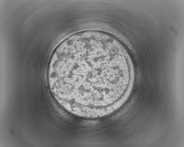 X0000112831513200910021212