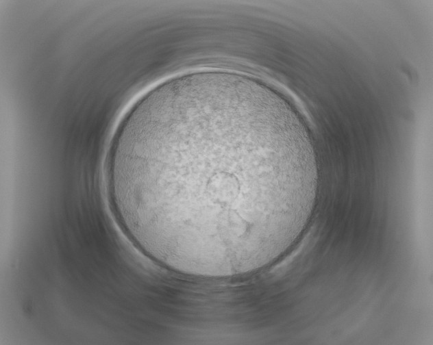 X0000112831514200910021212