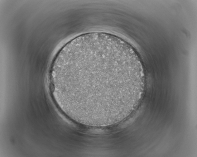 X0000112831517200910021212