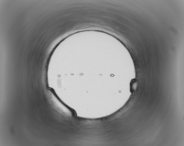 X0000112831518200910021212