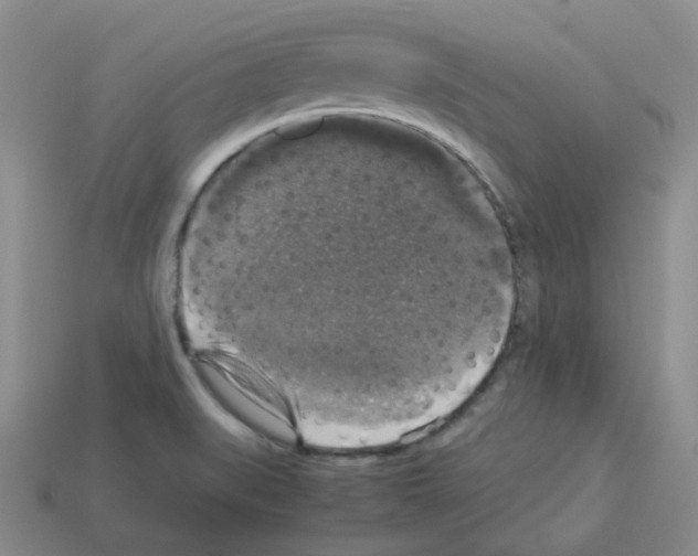 X0000112831519200910021212