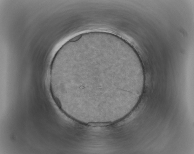 X0000112831520200910021212