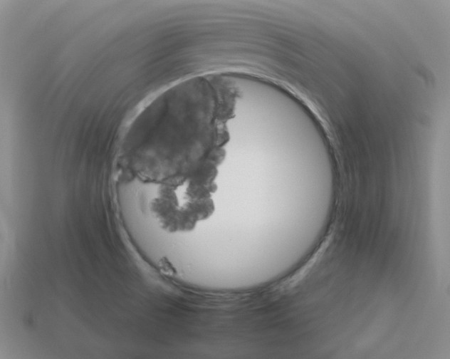 X0000112831521200910021212