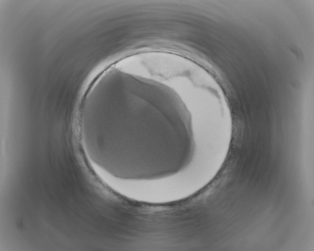 X0000112831522200910021212