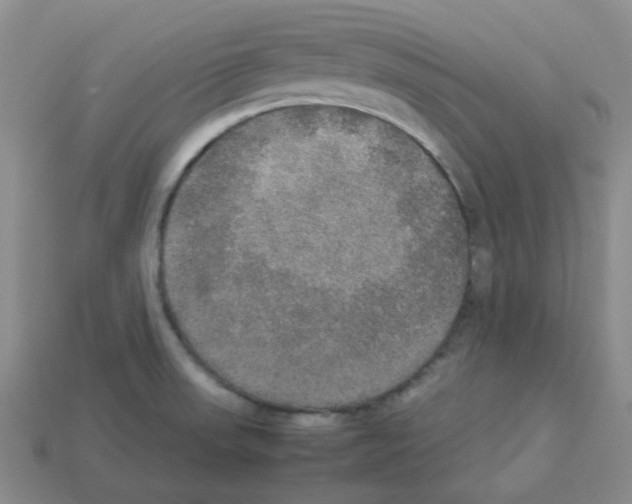 X0000112831523200910021212