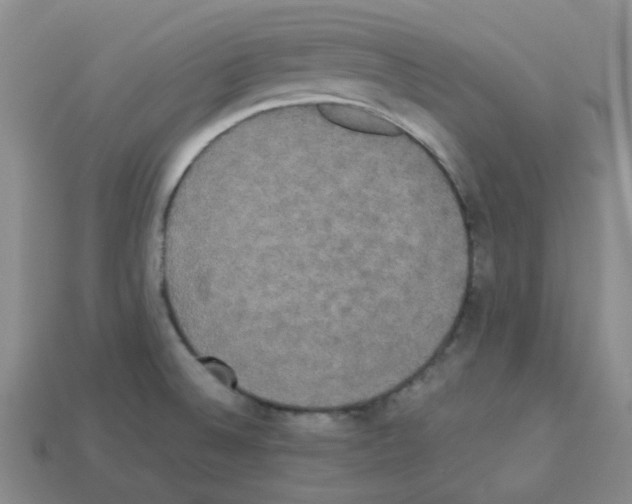 X0000112831524200910021212