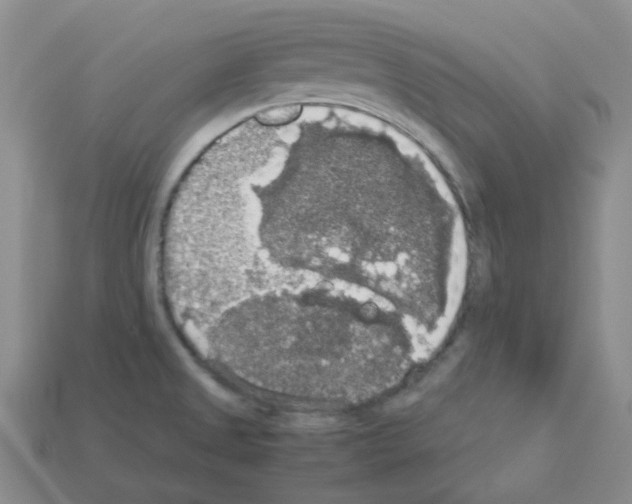 X0000112831525200910021212