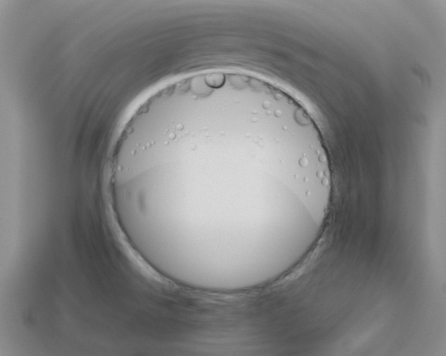 X0000112831526200910021212