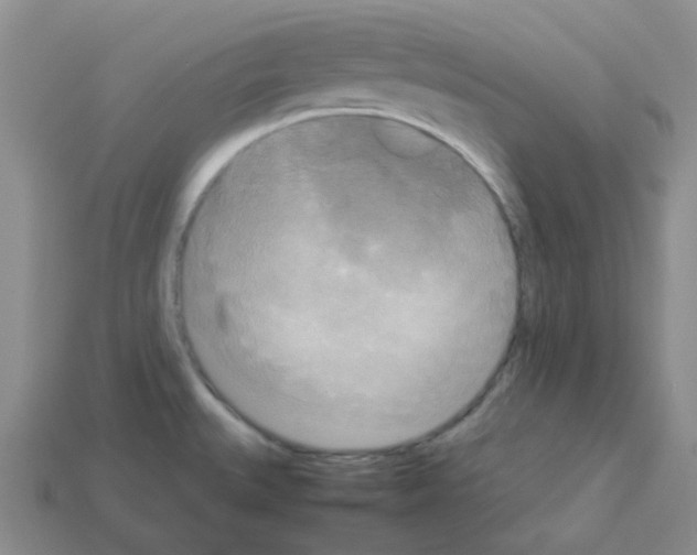 X0000112831527200910021212