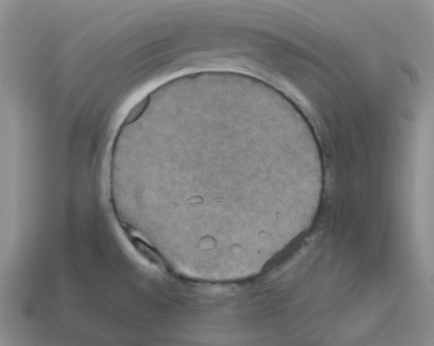 X0000112831528200910021212