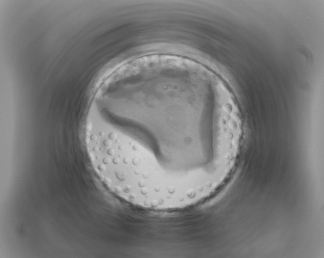 X0000112831529200910021212