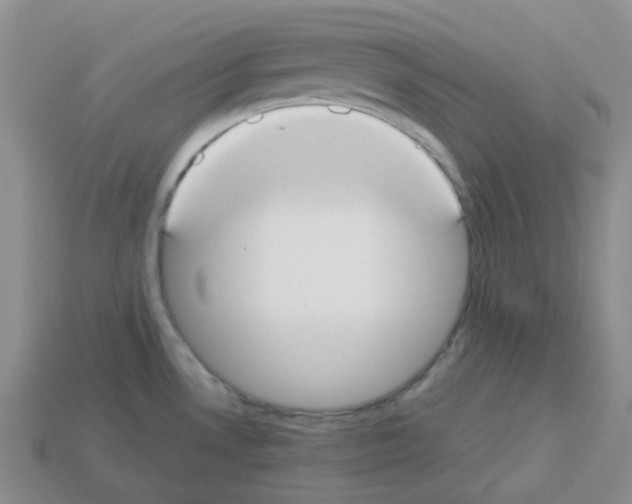 X0000112831530200910021212