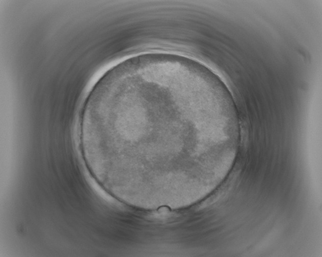 X0000112831531200910021212