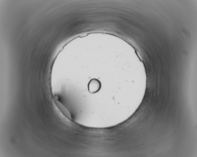 X0000112831532200910021212