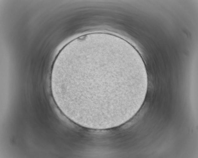 X0000112831534200910021212