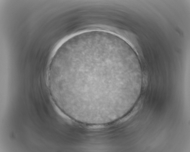 X0000112831535200910021212