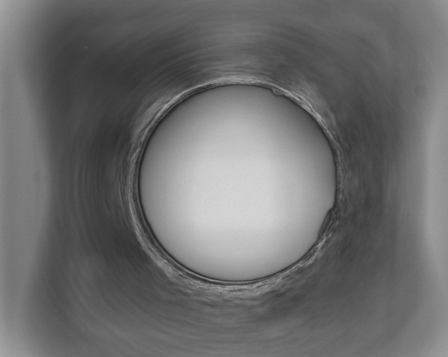 X0000112840001200908211008