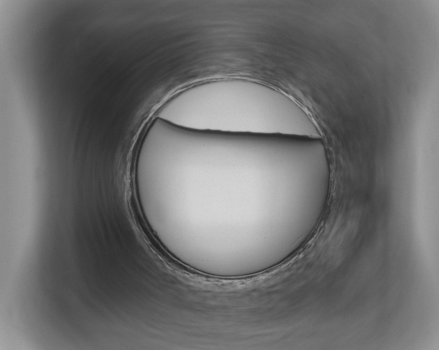 X0000112840002200908211008