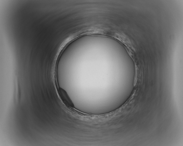 X0000112840003200908211008