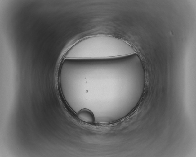 X0000112840004200908211008