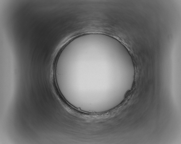 X0000112840005200908211008