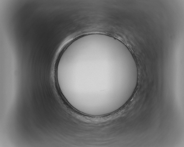 X0000112840006200908211008