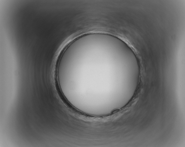 X0000112840007200908211008