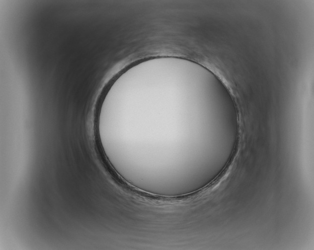 X0000112840008200908211008