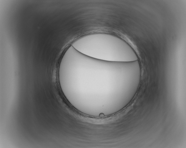 X0000112840010200908211008