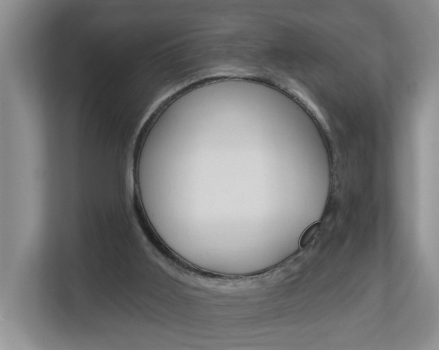 X0000112840011200908211008