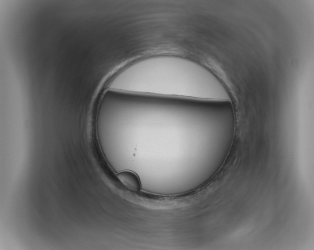 X0000112840012200908211008