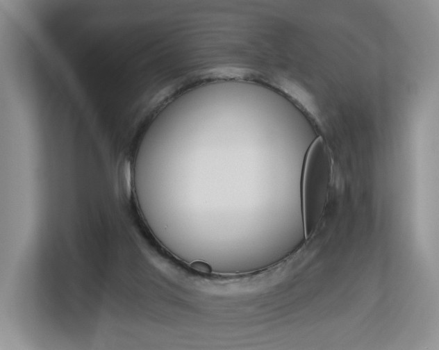 X0000112840013200908211008