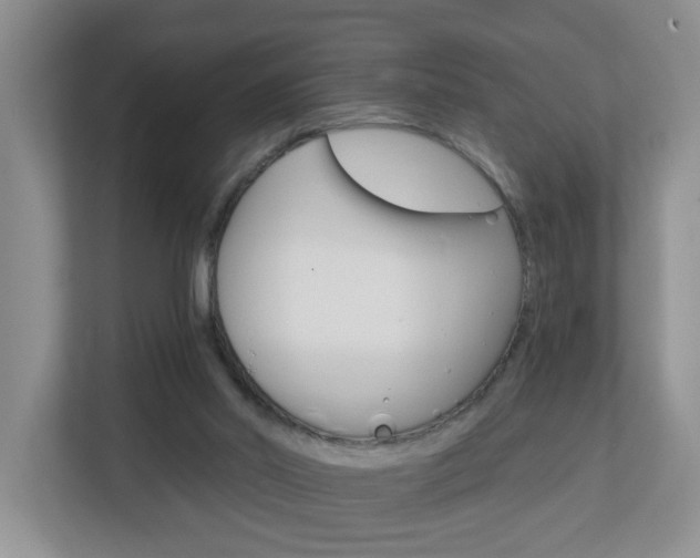 X0000112840014200908211008