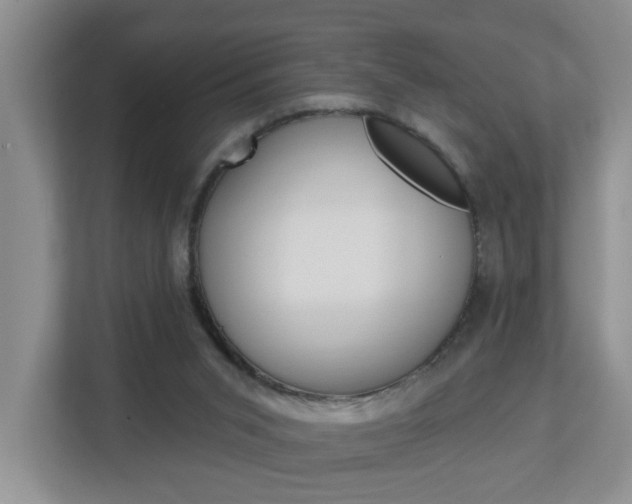 X0000112840015200908211008