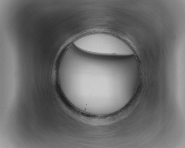 X0000112840016200908211008