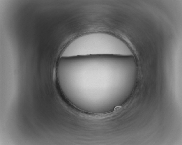 X0000112840019200908211008