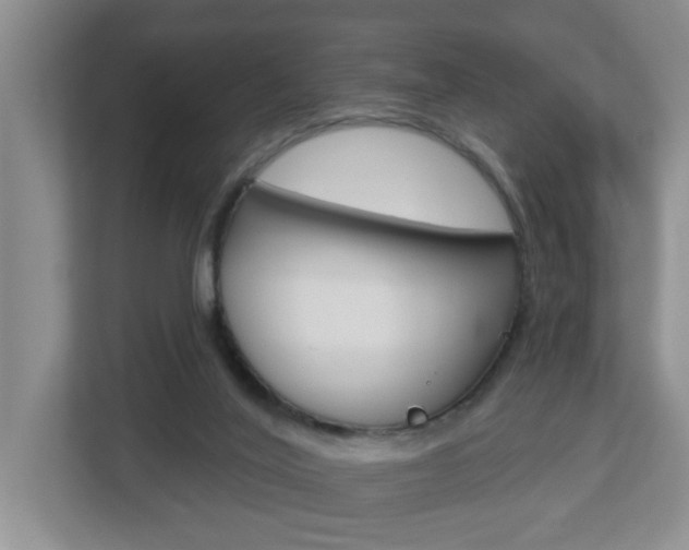 X0000112840020200908211008