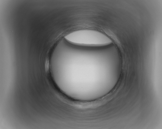 X0000112840021200908211008