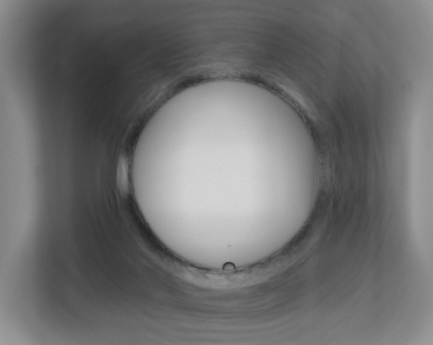 X0000112840022200908211008