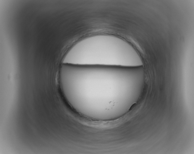 X0000112840023200908211008