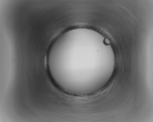 X0000112840024200908211008